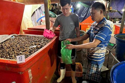 Công an TPHCM triệt phá đường dây ngâm 3.000 tấn thịt ốc bằng hóa chất