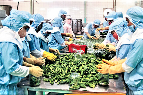 Đồng Nai khởi động khu chăn nuôi, chế biến nông sản công nghệ cao 30.500 tỷ đồng