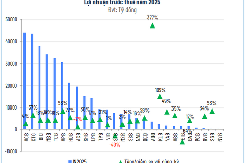 Bên dưới ‘tảng băng’ lợi nhuận ngân hàng năm 2025