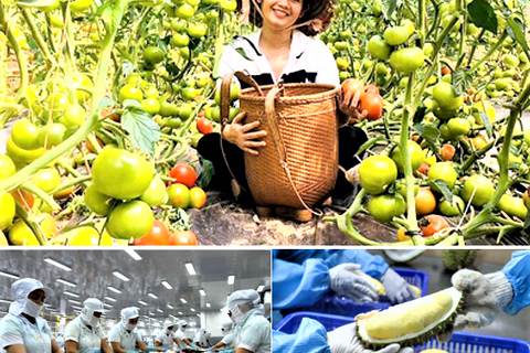 Thúc đẩy mở cửa thị trường các mặt hàng nông thủy sản có thế mạnh