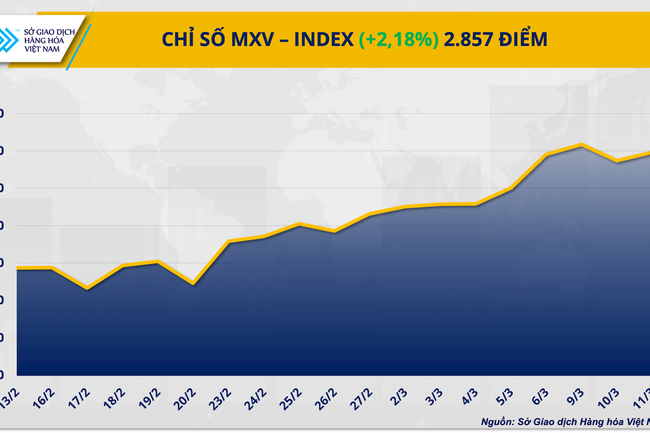 ‏Giá dầu Brent vượt mốc 100 USD/thùng, hiệu ứng domino lan khắp thị trường hàng hóa‏