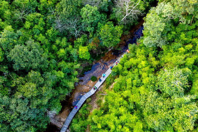 Gần 1.900 tỷ đồng hỗ trợ 6 tỉnh phía Bắc bảo vệ và phát triển rừng bền vững