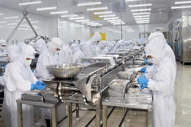 Cà Mau tăng tốc trở thành trung tâm chế biến nông - thủy sản quy mô lớn