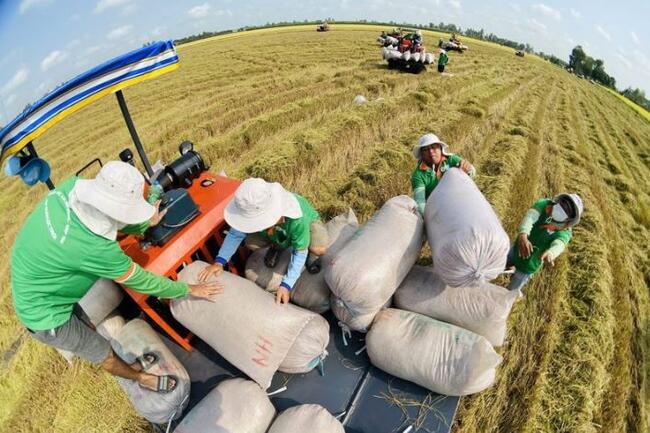 Xuất khẩu nông lâm thủy sản 3 tháng đầu năm 2026 ước đạt 16,69 tỷ USD