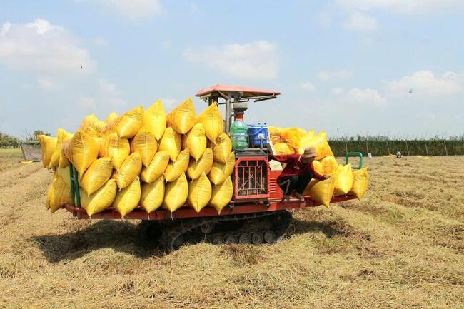 ‏Khi dòng vốn ngân hàng trở thành “chìa khóa” tăng trưởng kinh tế tỉnh An Giang‏‏ ‏