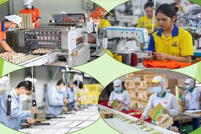 Tổng điều tra kinh tế năm 2026: Dồn lực tăng tốc cho chặng cuối giai đoạn "nước rút"