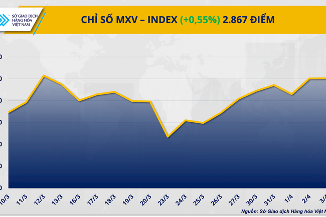 Dòng tiền phân hóa trên phân hóa trên thị trường giao dịch hàng hóa