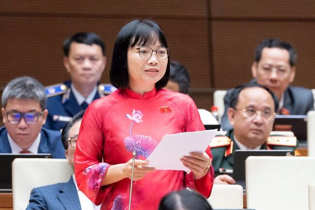 Đại biểu Quốc hội đề xuất khung giới hạn ngưỡng doanh thu chịu thuế từ 1-3 tỷ đồng