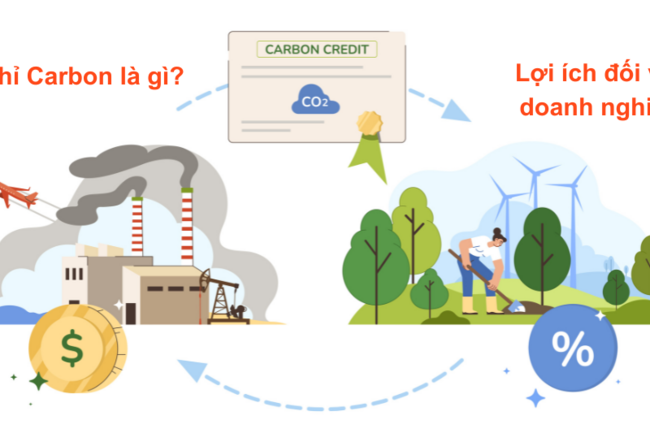 Hoàn thiện chính sách thuế đối với tín chỉ carbon tại Việt Nam hiện nay