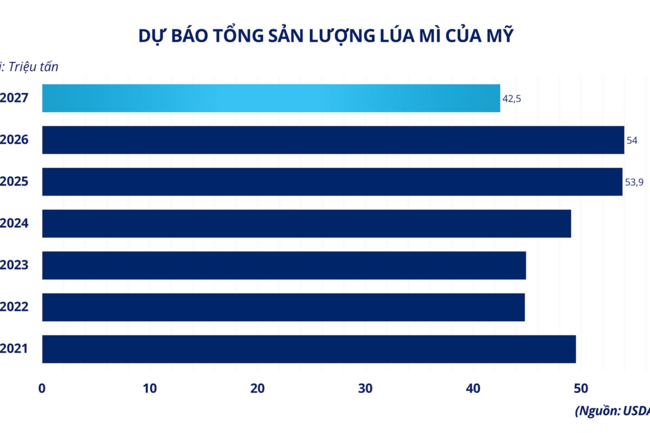 Thị trường giao dịch hàng hóa Việt Nam lập đỉnh lịch sử