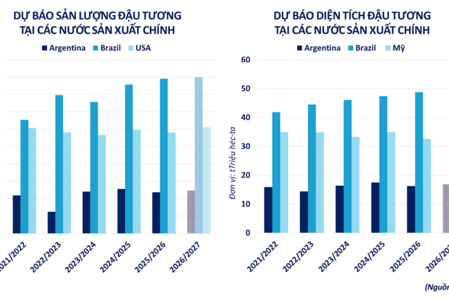Thị trường giao dịch hàng hoá phân hoá mạnh
