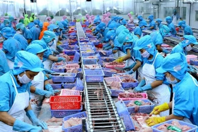Phát triển chế biến thủy sản theo hướng hiện đại, bền vững