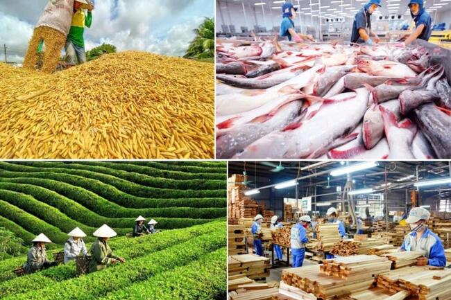 Từ tháng 6/2026: Thêm ưu đãi thuế, siết xử phạt vi phạm lâm nghiệp