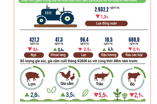 Tình hình kinh tế - xã hội 5 tháng đầu năm 2026