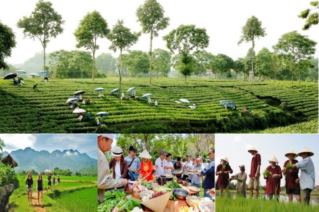 Du lịch nông thôn đẩy mạnh số hóa, tạo động lực phát triển kinh tế nông thôn