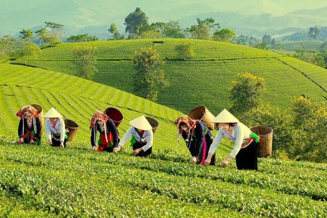 Dòng vốn chính sách tiếp sức hộ khó khăn vươn lên thoát nghèo ở Phú Thọ