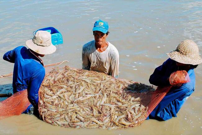 Giữ đà tăng trưởng bền vững cho nông, lâm, thủy sản