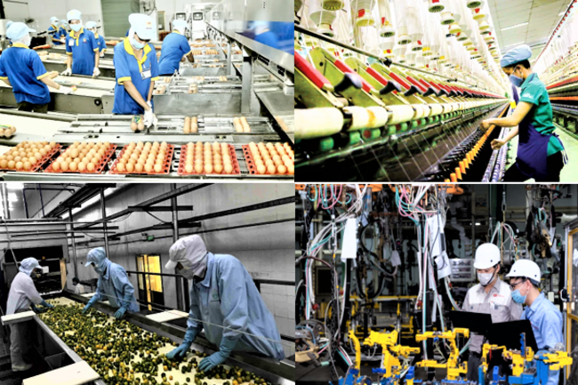 Quy mô doanh nghiệp mở rộng, tiếp tục là động lực tăng trưởng của nền kinh tế