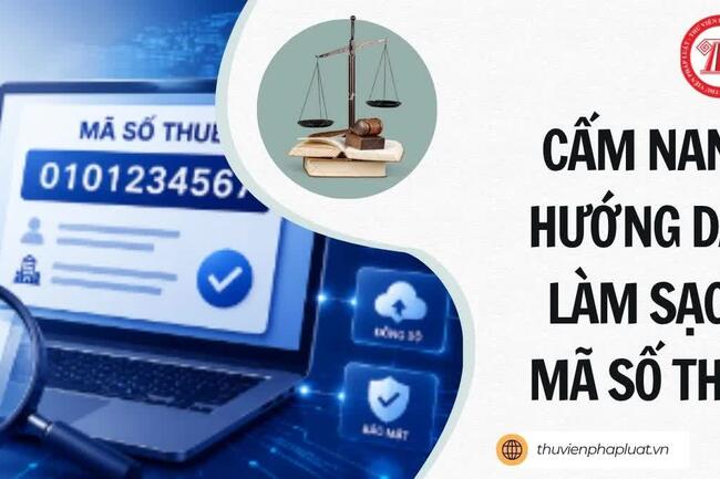 Thuế TP. Hà Nội ban hành “Cẩm nang hướng dẫn làm sạch mã số thuế”