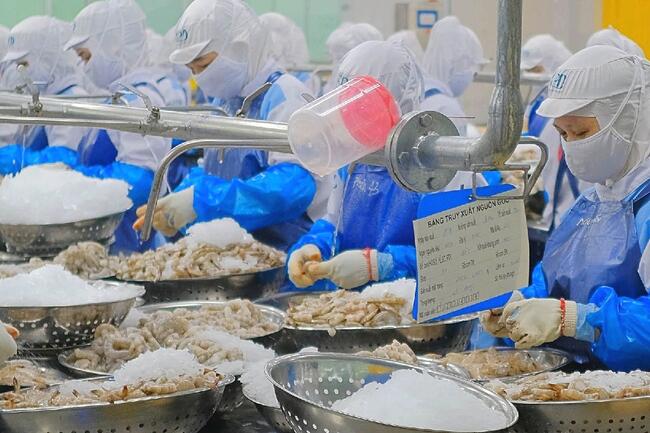 Thuế xuất khẩu 0%: Vì sao doanh nghiệp được hoàn thuế Giá trị gia tăng, hộ kinh doanh thì không?