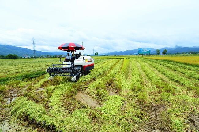 Giải ngân chương trình mục tiêu quốc gia: Tăng tốc đưa nguồn lực vào thực tiễn