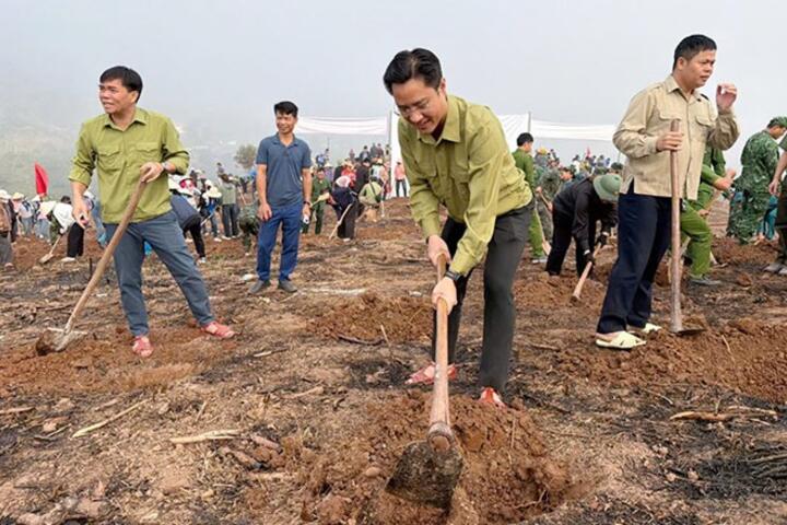 Điện Biên ra quân trồng mới 12.000 ha cây cà phê và mắc ca