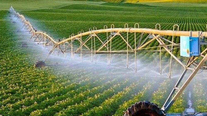 Khởi nghiệp sáng tạo Việt Nam: Thời cơ bứt phá và bài toán đầu tư xanh