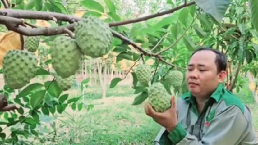 OCOP góp phần nâng cao thu nhập cho nông dân Phú Giáo