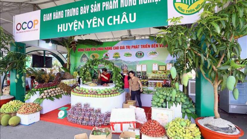 OCOP không còn chỉ giới hạn ở sản phẩm nông sản