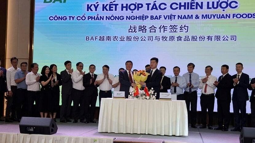 Nuôi heo nhà cao tầng: Bước đột phá công nghệ và hành trình xanh hóa ngành heo thịt Việt Nam