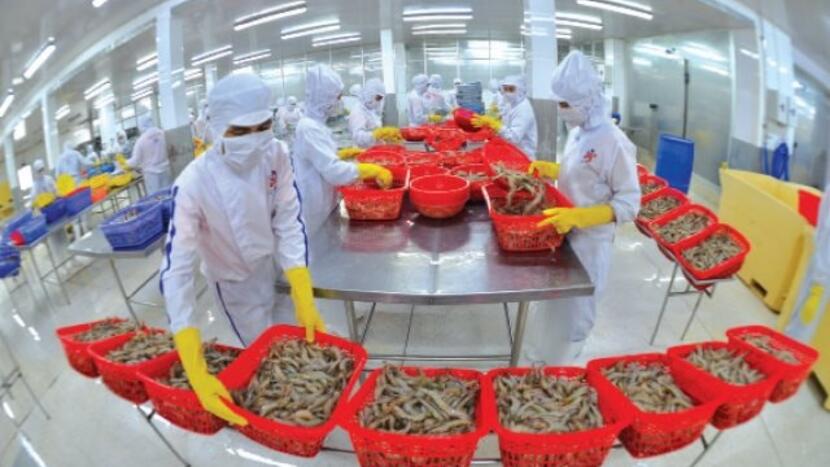 Tín dụng nông nghiệp và xuất khẩu nông sản: “Xoay trục” để kiến tạo vị thế mới