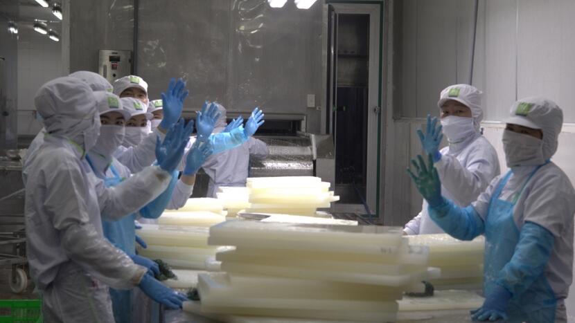 Doanh nghiệp vào guồng sản xuất sớm