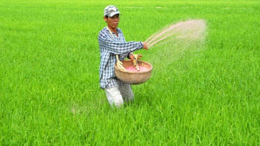 Bộ Tài chính lý giải việc duy trì thuế xuất khẩu 5% đối với phân bón urea, supe lân