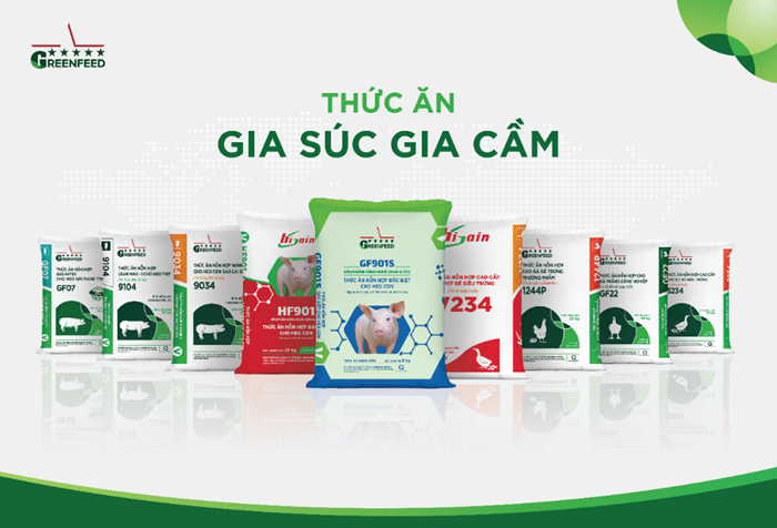 Thức ăn chăn nuôi chất lượng của GREENFEED được sản xuất trên dây chuyền đạt tiêu chuẩn quốc tế, tối ưu dinh dưỡng, đa dạng, phù hợp từng giai đoạn vật nuôi.