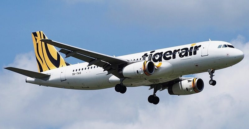 tigerair-taiwan.jpg