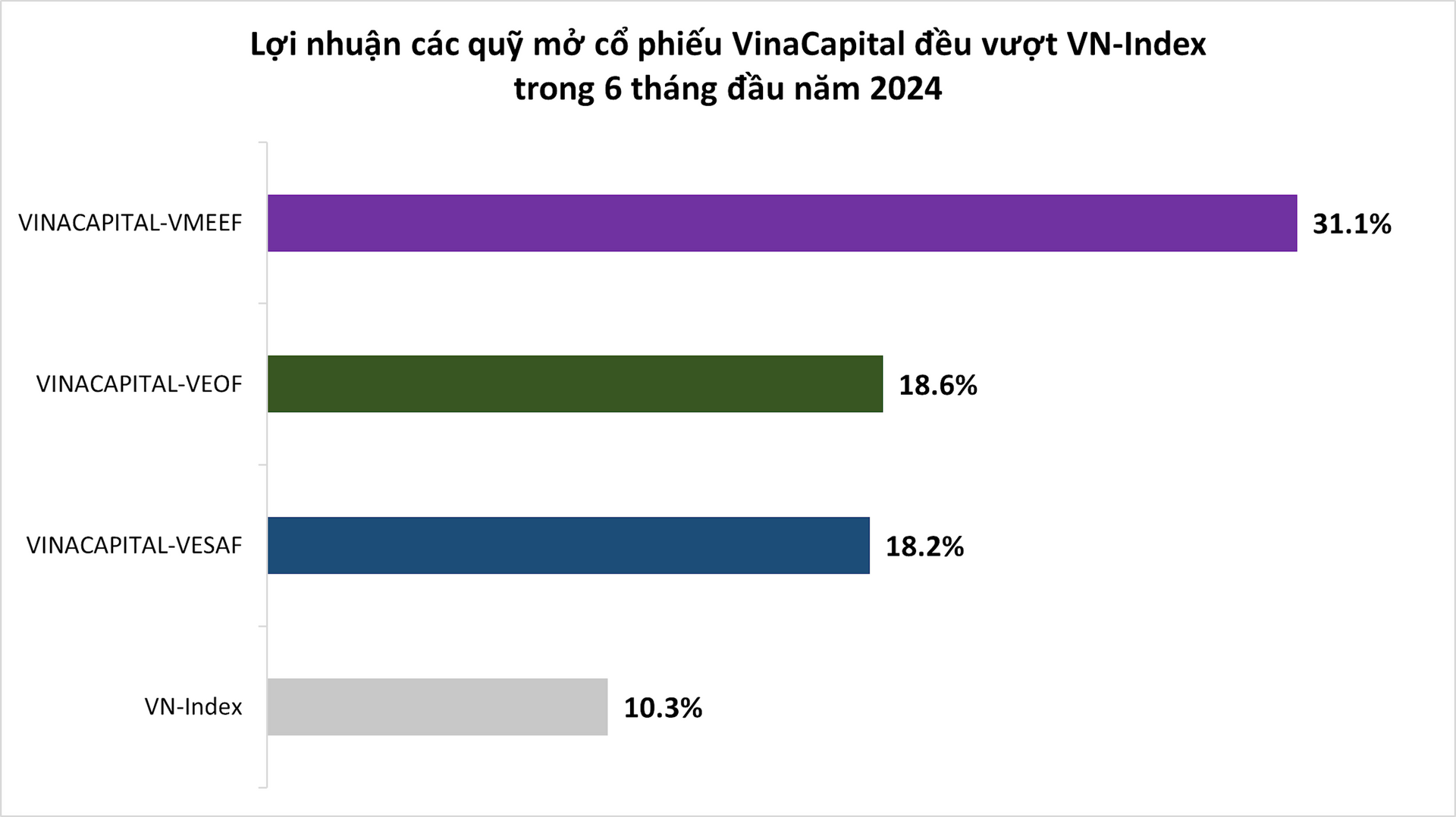 so-sanh-quy-mo-co-phieu-cua-vinacapital.png