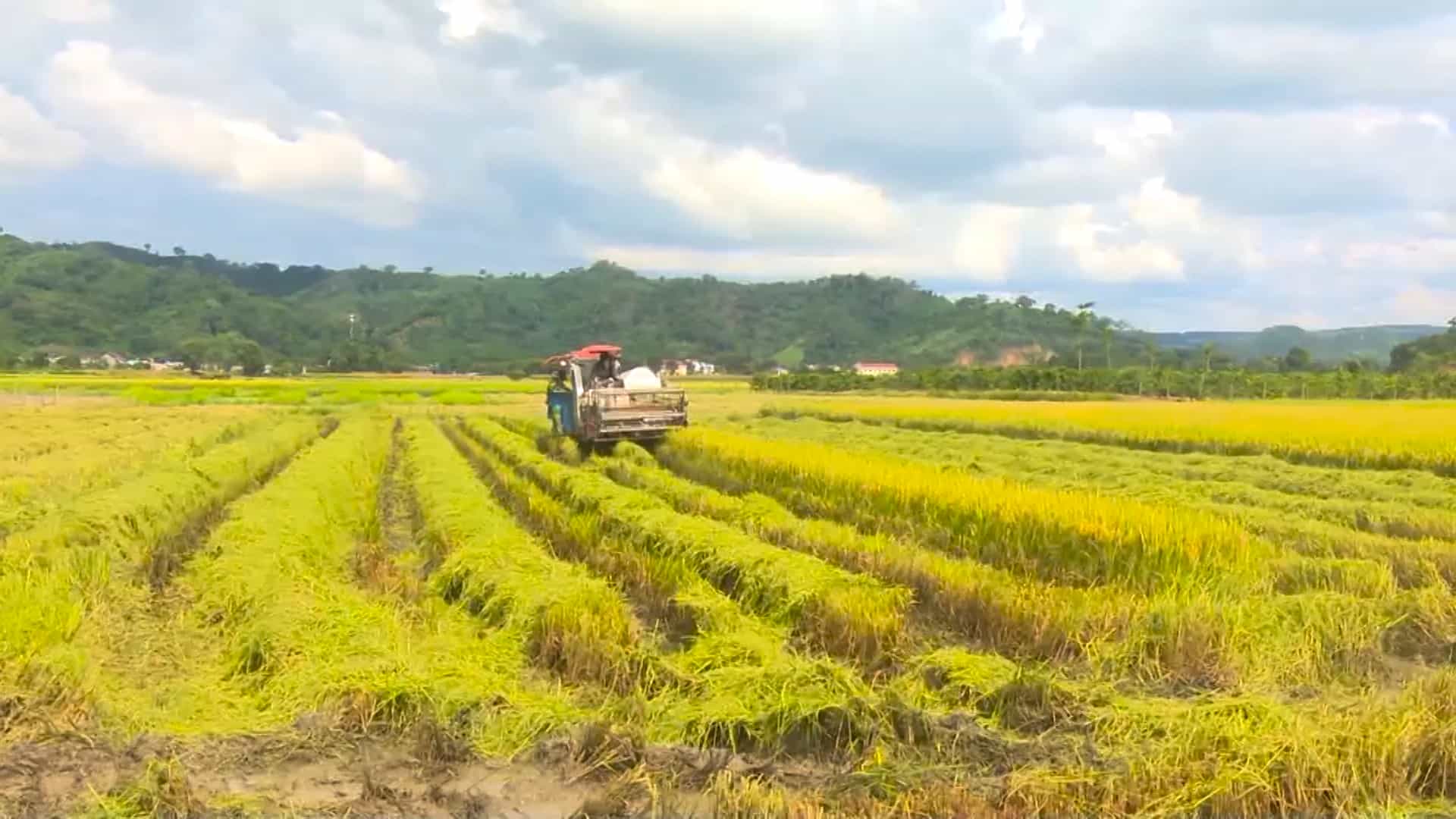 Người dân nghèo ở tỉnh Đắk Nông nỗ lực lao động sản xuất, phát triển kinh tế. Ảnh: Bảo Lâm