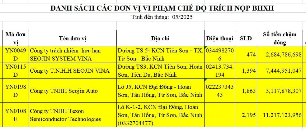 Danh sách một số công ty nước ngoài chậm nộp bảo hiểm xã hội ở Bắc Ninh. Nguồn thông tin Bảo hiểm xã hội Việt Nam cung cấp