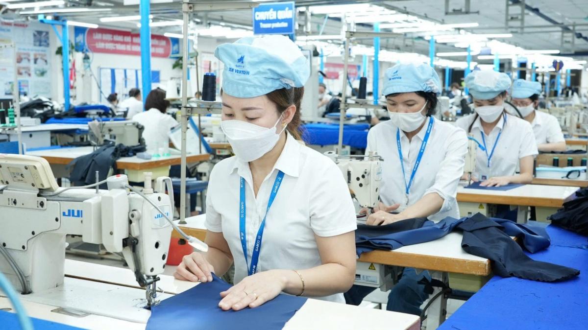 Doanh nghiệp nhỏ và vừa đang trở thành lực lượng nòng cốt của nền kinh tế Việt Nam.