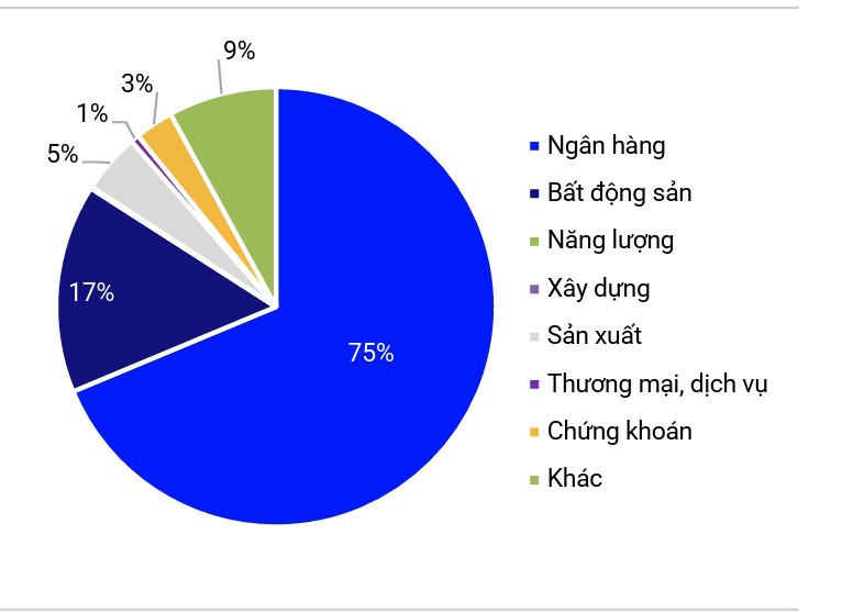 Cơ cấu phát hành theo ngành trong 6 tháng đầu năm (%). Nguồn: S&I Ratings