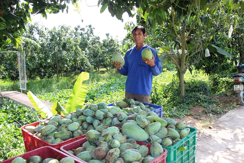 nong-dan-can-gan-lien-ket-san-xuat-voi-thi-truong-tieu-thu-tranh-tinh-trang-rot-gia-nong-san..jpg