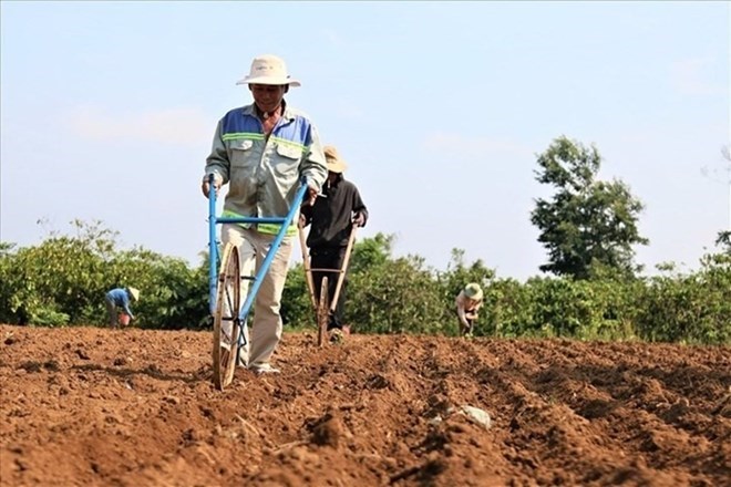 Điều kiện để đất nông nghiệp được thế chấp vay vốn