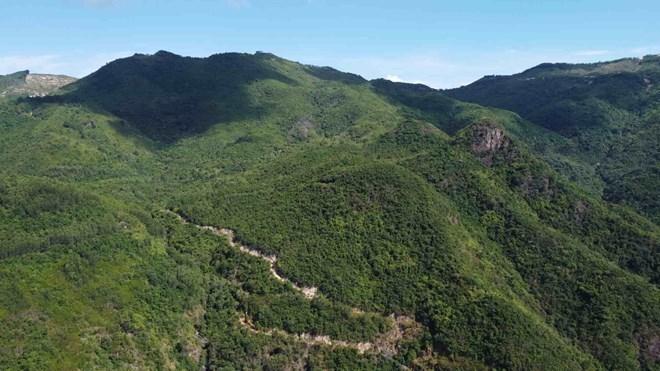 Ngăn chặn hành vi phá rừng, lấn chiếm, khai thác trái phép ở Khánh Hòa