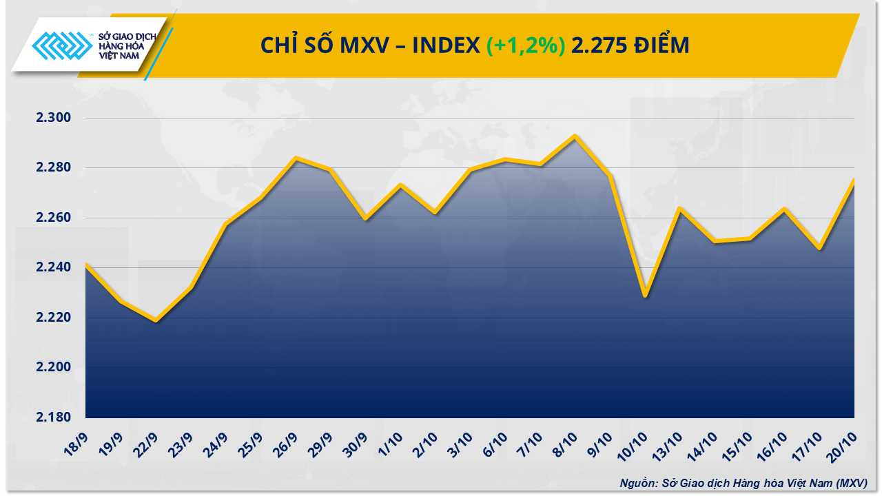 mxv-index-13.png