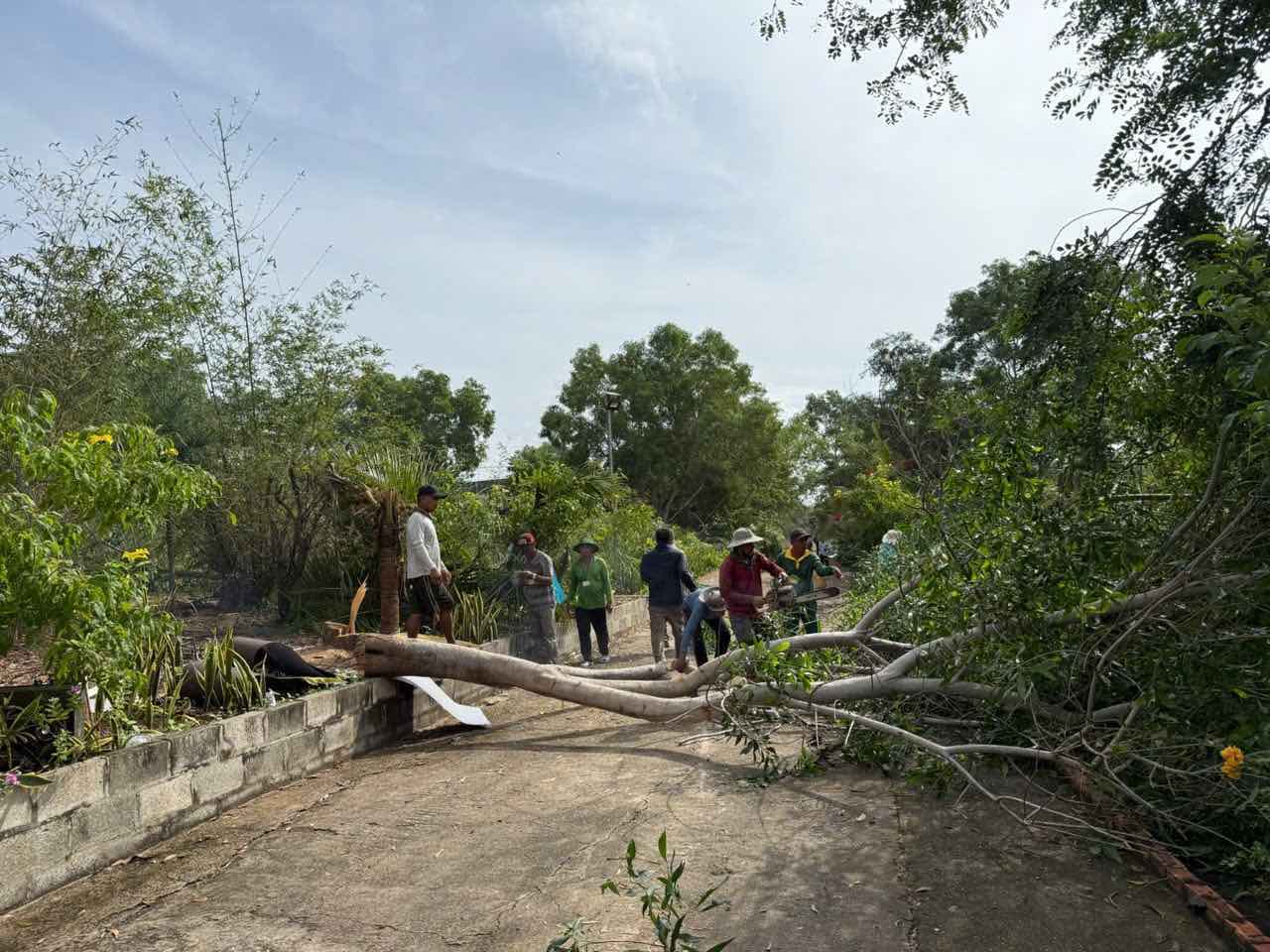 Nhổ bỏ các cây trồng trên đất chiếm trái phép. Ảnh: Phạm Duy