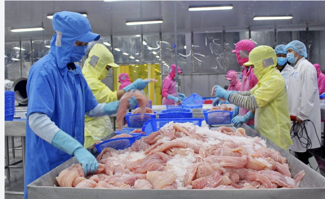 10 tháng năm 2025, kim ngạch trao đổi thương mại giữa Việt Nam và các thành viên CPTPP đạt 102,8 tỷ USD, tăng 20,6% so với cùng kỳ.