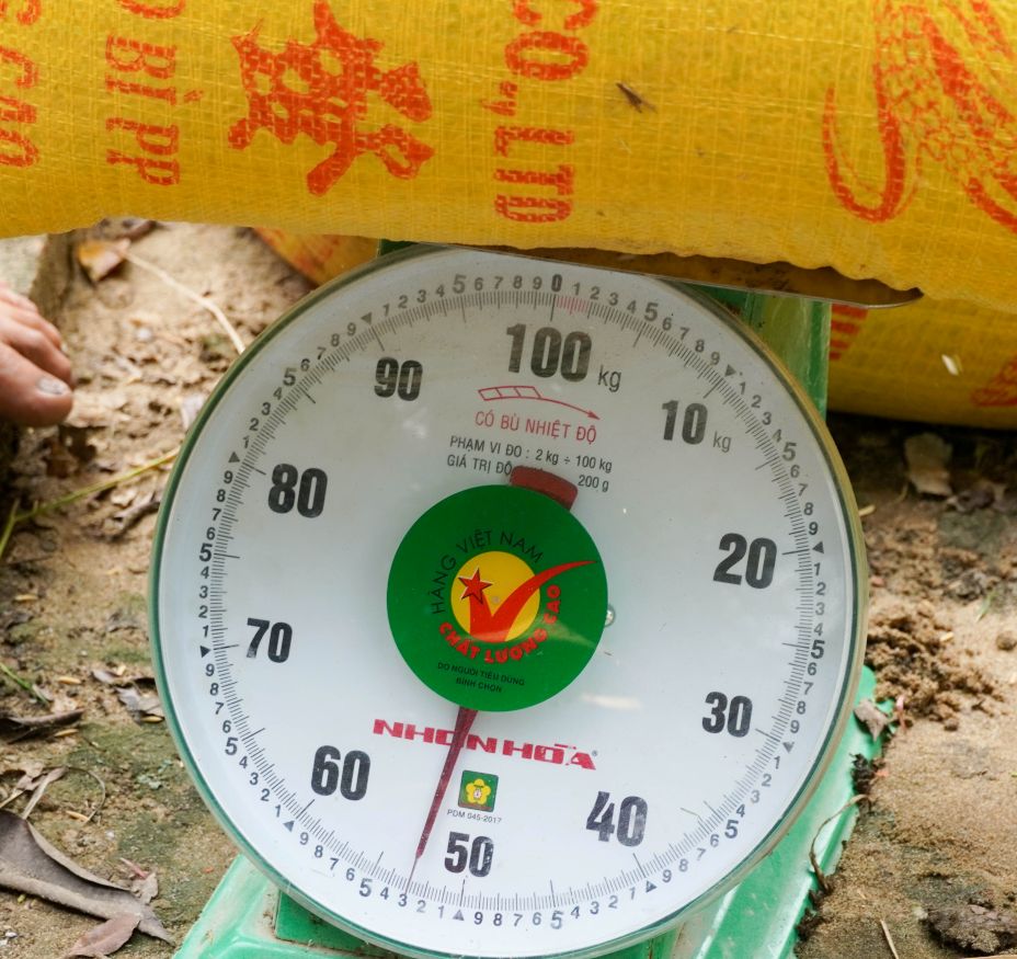 Vụ lúa năm nay đạt năng suất hơn 900 kg/công (1.300m2). Đặc biệt, toàn bộ sản lượng được doanh nghiệp bao tiêu với giá 9.100 đồng/kg, cao hơn từ 800 - 1.000 đồng/kg so với giá thị trường bên ngoài.