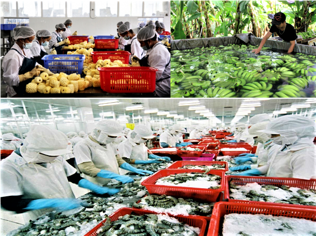 Xuất nhập khẩu năm 2025 tăng trưởng mạnh, xuất siêu hơn 20 tỷ USD Xuất nhập khẩu năm 2025 tăng trưởng mạnh, xuất siêu hơn 20 tỷ USD