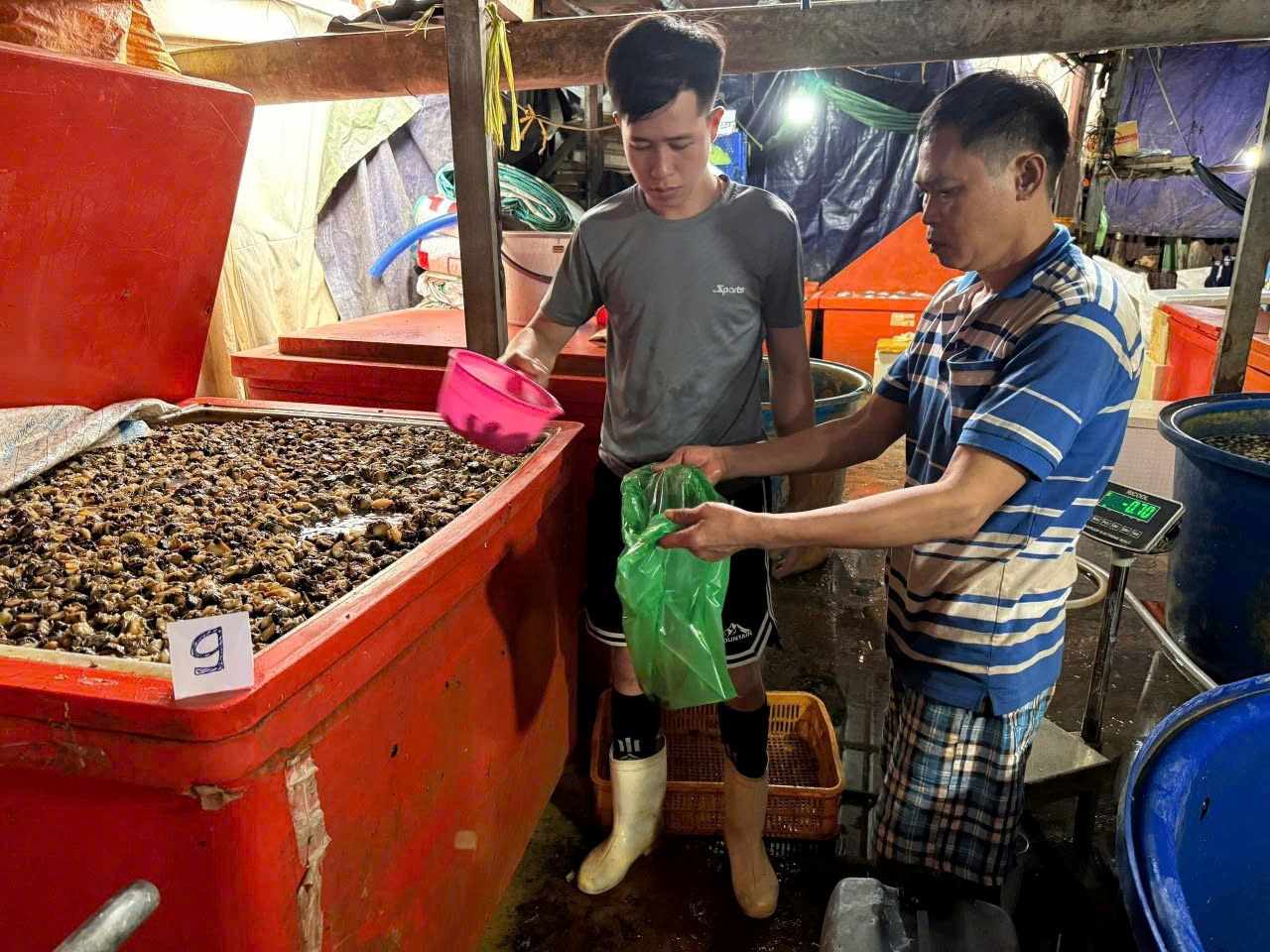 Hàng tấn thịt ốc bươu đã qua sơ chế, toàn bộ được ngâm trong dung dịch hóa chất Natri Silicate (thường gọi là “thủy tinh lỏng”). Ảnh công an cung cấp