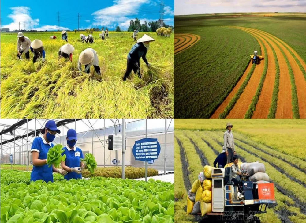 Chính sách tài chính - “đòn bẩy” then chốt cho phát triển kinh tế tập thể